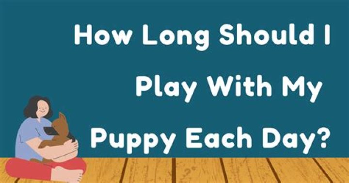 How long should I play with my puppy each day?