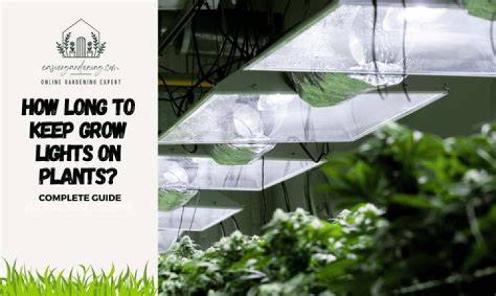 How long should you leave a plant light on?