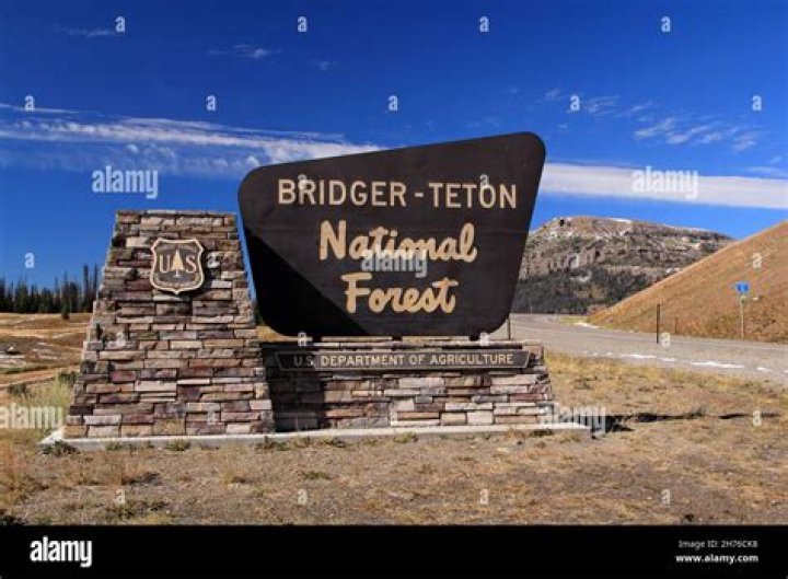 How many acres is Bridger-Teton National Forest?