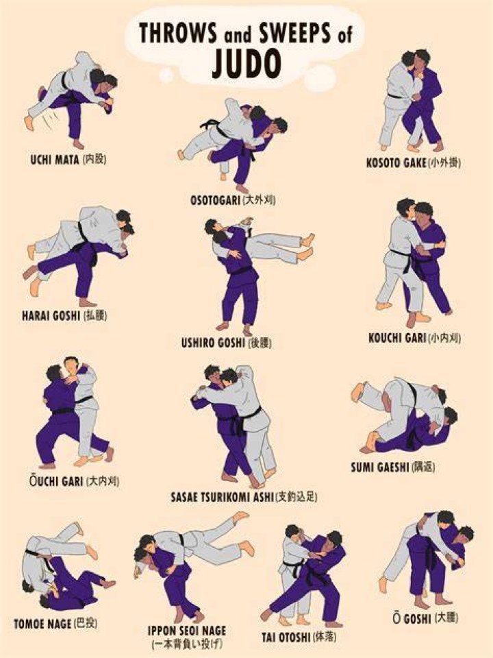 How many BJJ sweeps are there?