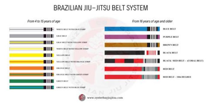 How many Brazilian Jiu-Jitsu black belts are there?