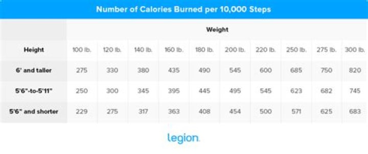 How many calories does 10000 steps burn?