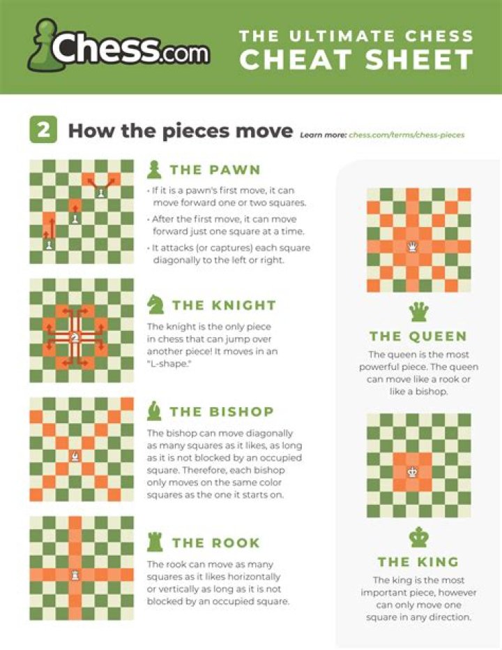 How many chess tactics are there?