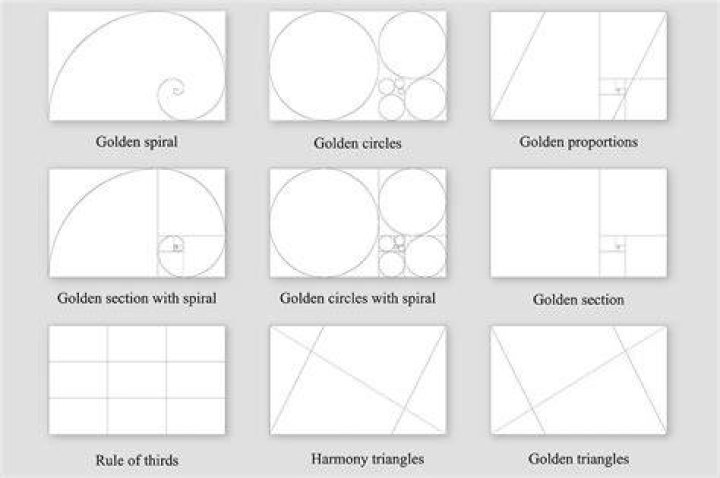 How many dogs does the golden ratio have?