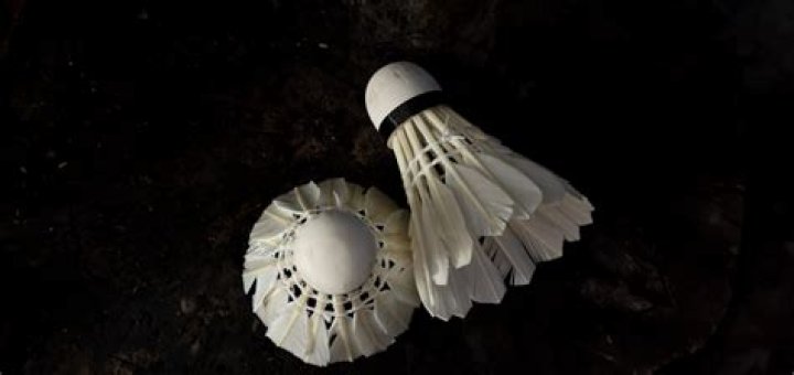 How many features are there in a shuttlecock?