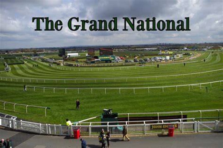 How many finished the Grand National 2022?