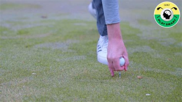 How many golfers have made a hole in one?