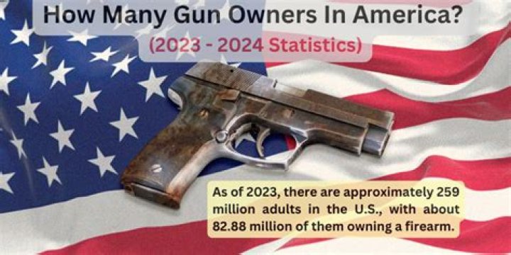 How many gun owners are in the US in 2021?
