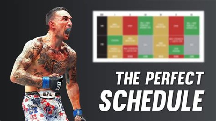 How many hours a day do MMA fighters train?