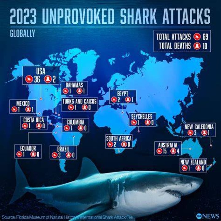 How many humans get killed by sharks a year?