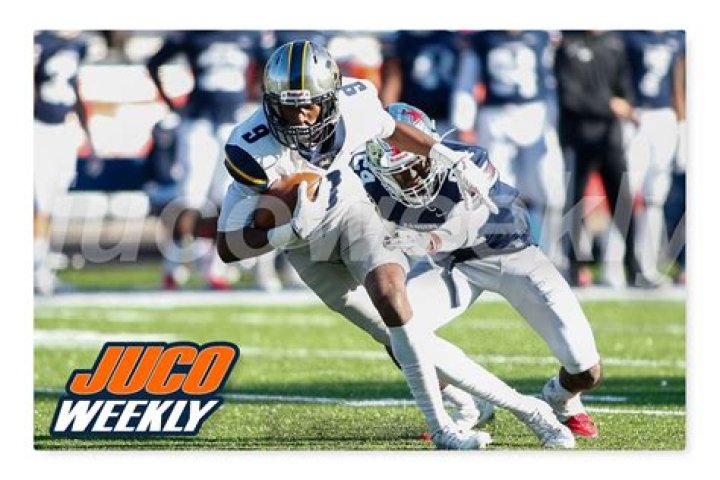 How many NFL players attended JUCO?