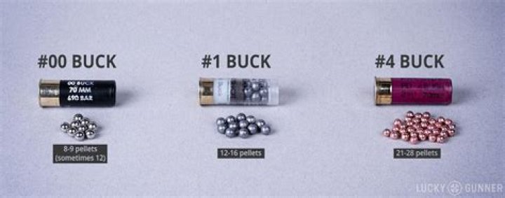 How many pellets does a 000 buckshot 12 gauge have?