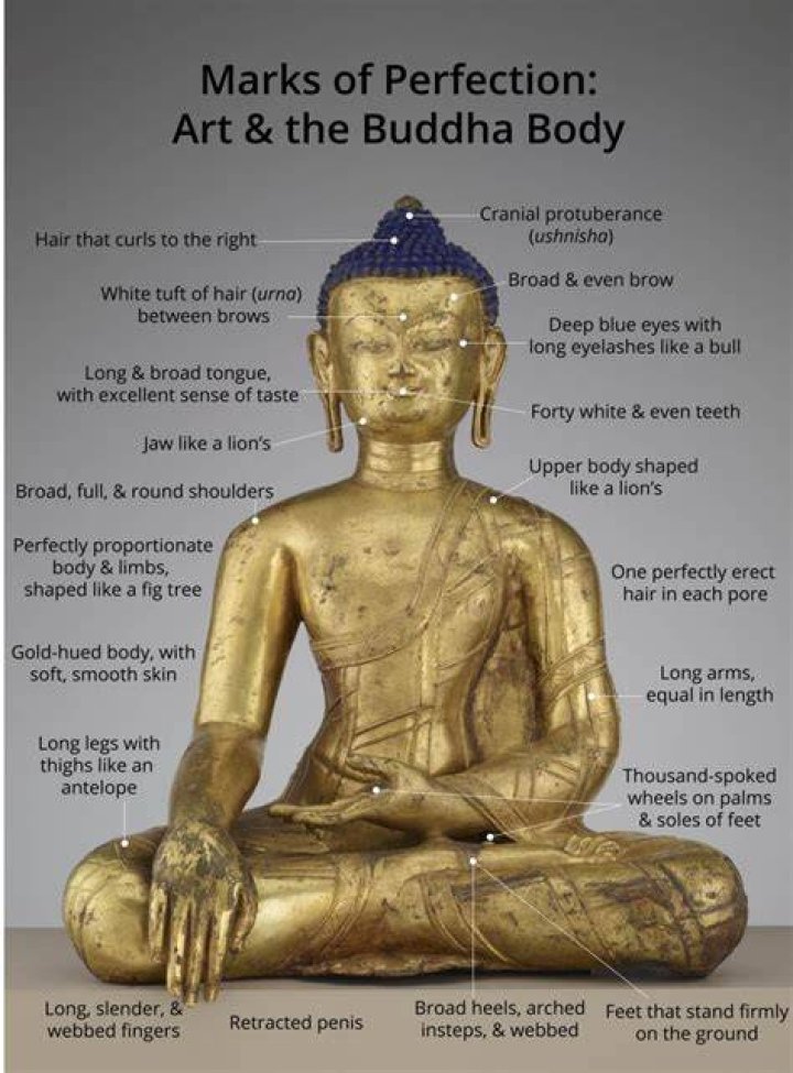 How many wives did Buddha have?