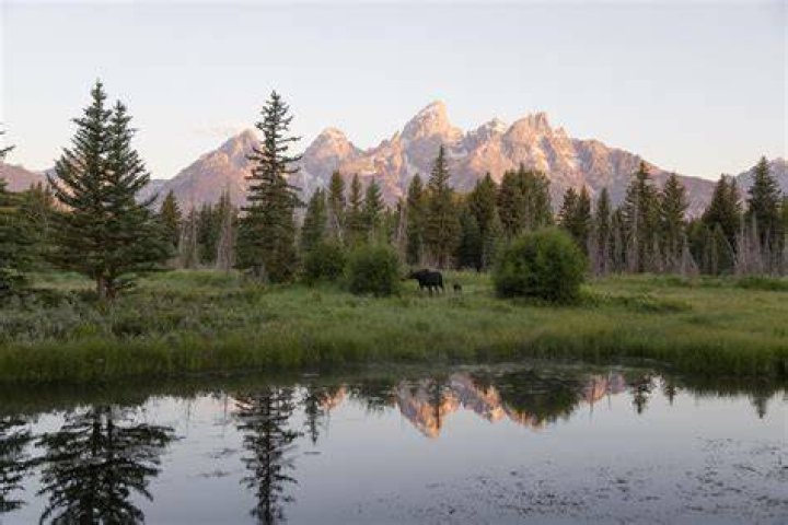 How much do the Tetons grow per year?