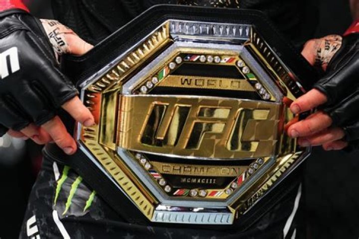 How much does it cost to watch UFC?