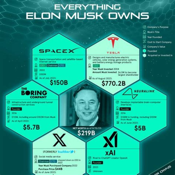 How much is Elon Musk salary?