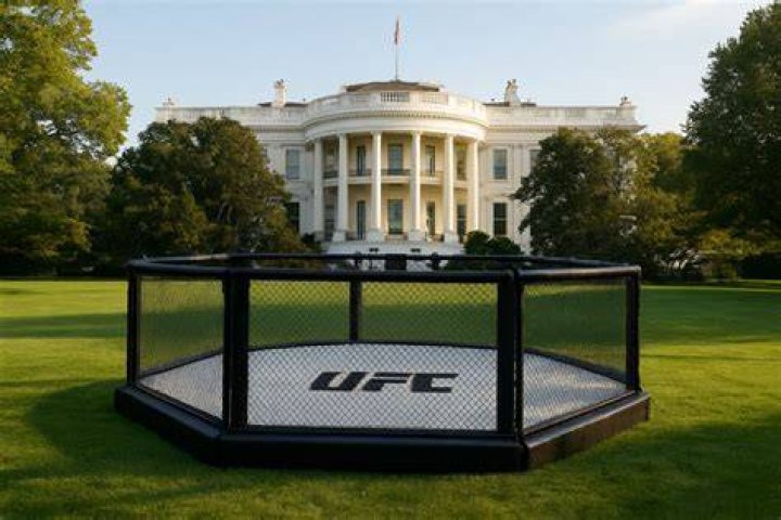 How much is UFC PPV in England?