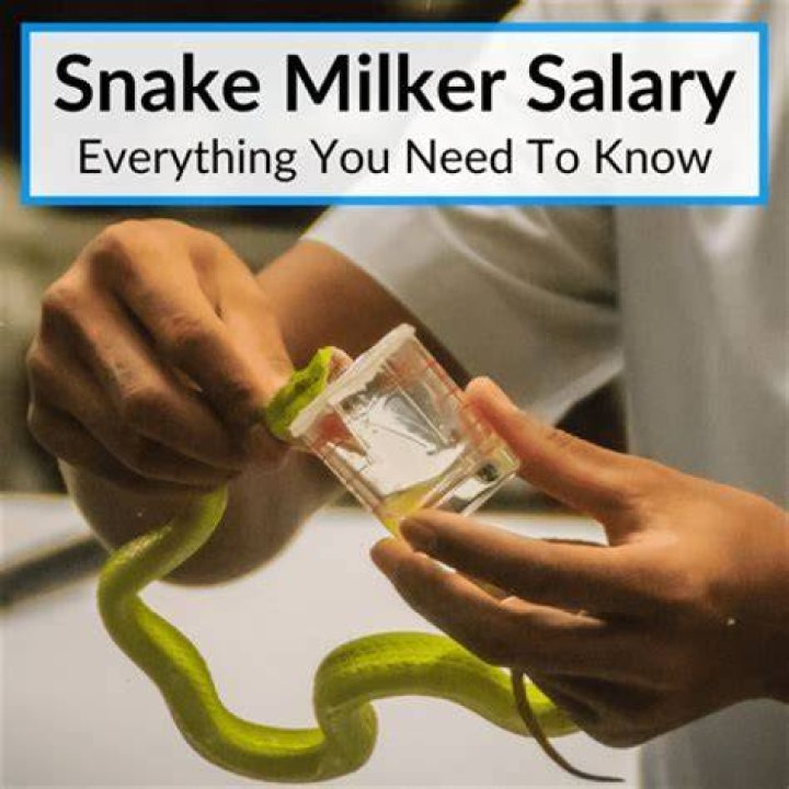 How much money does a snake milker make?