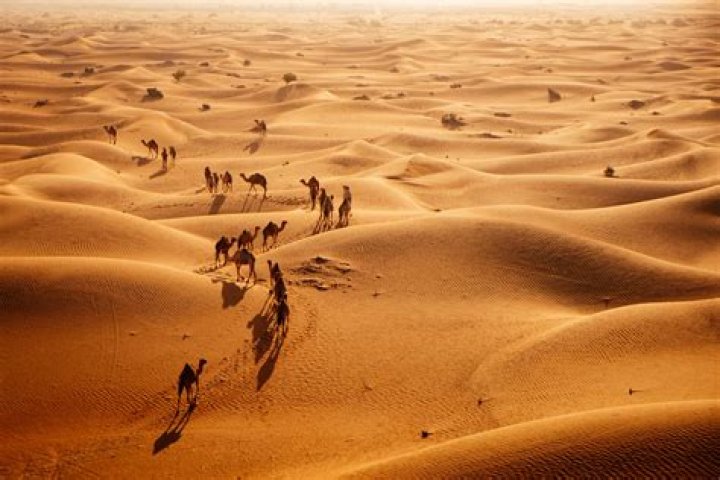 How much of Chad is desert?