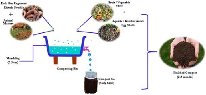 How often do you water compost?