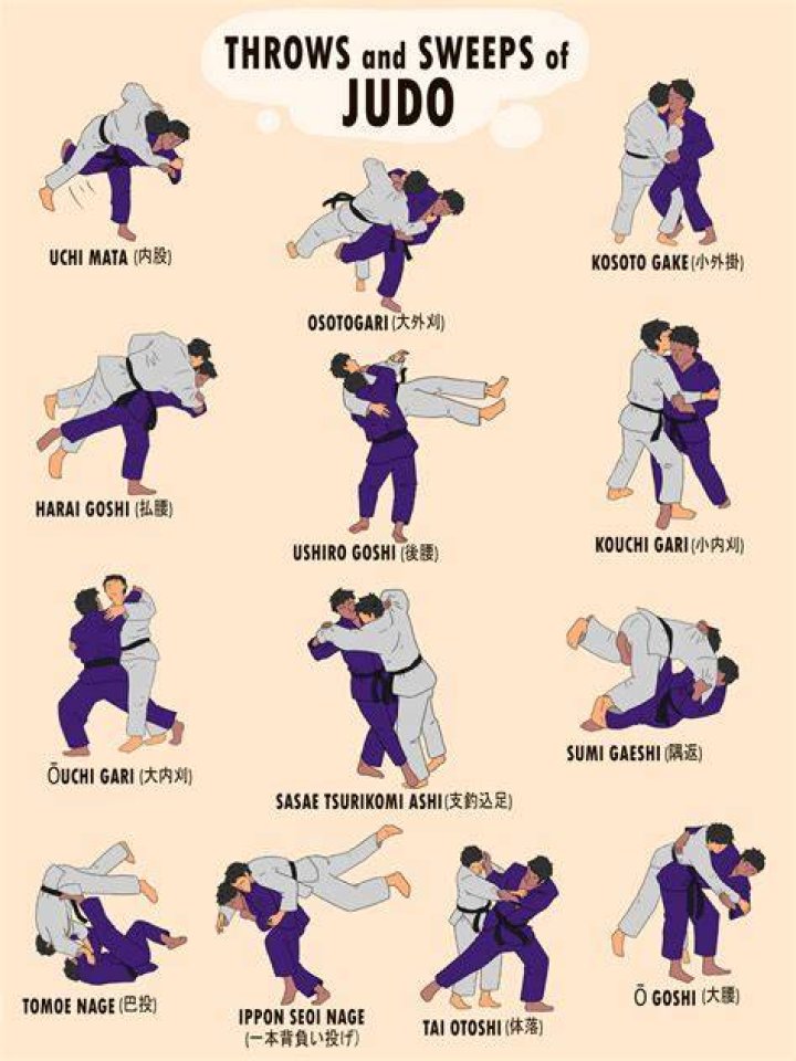 How often should I go to Jiu Jitsu?