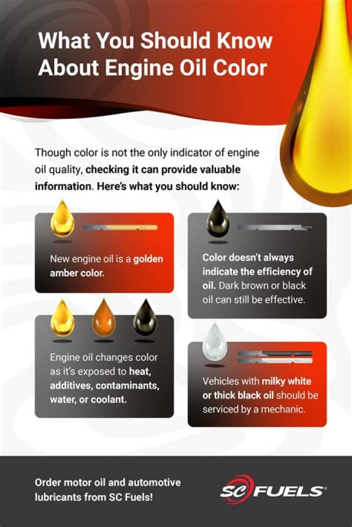How often should the oil be changed on a boat's engine after every boating trip at least once a month at least once every boating season at least once every 3 to 5 years?