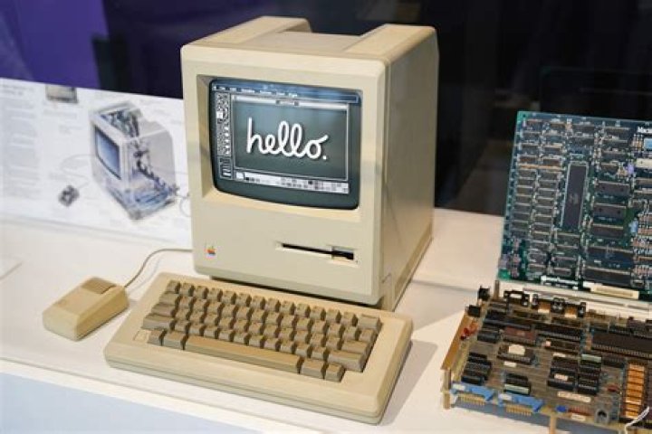How old is Summer Macintosh?