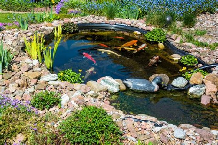 How small can a fishing pond be?