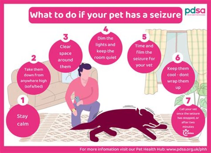 How stressful is having a puppy?