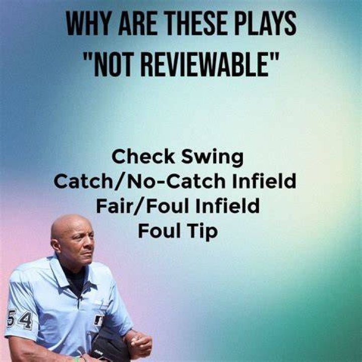 Is a check swing reviewable?