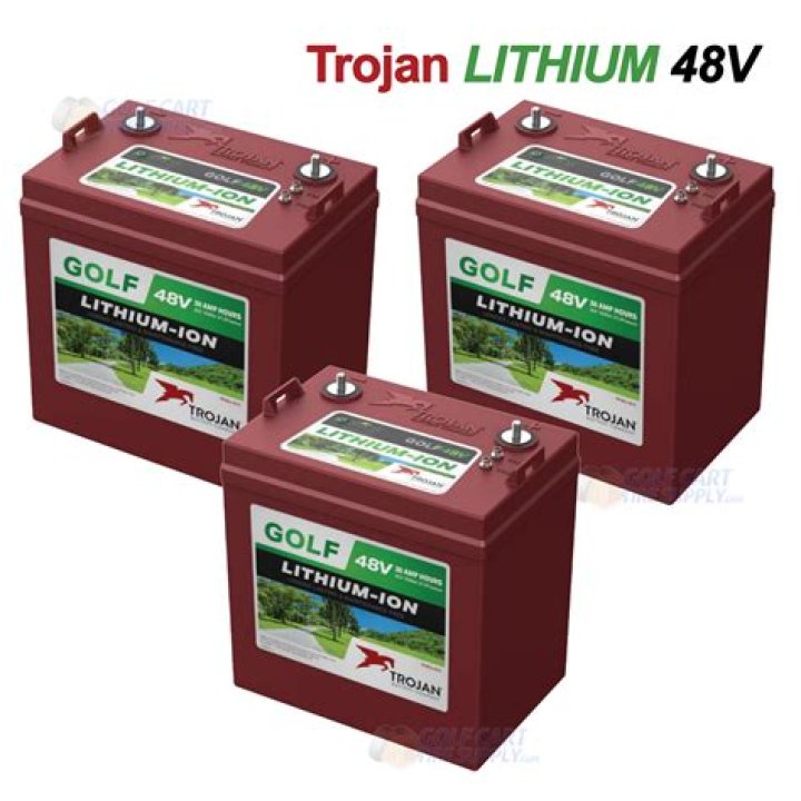 Is a golf cart battery standard or AGM?