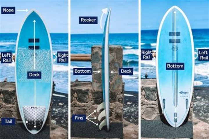Is a longer surfboard better for beginners?