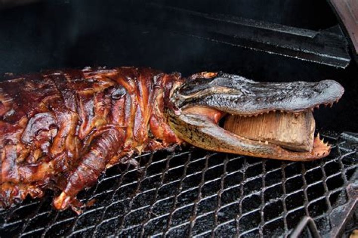 Is alligator meat edible?