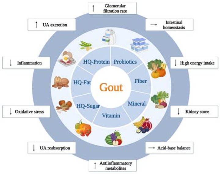 Is Almond good for uric acid patients?