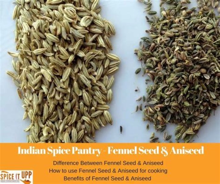 Is aniseed and fennel seed the same?