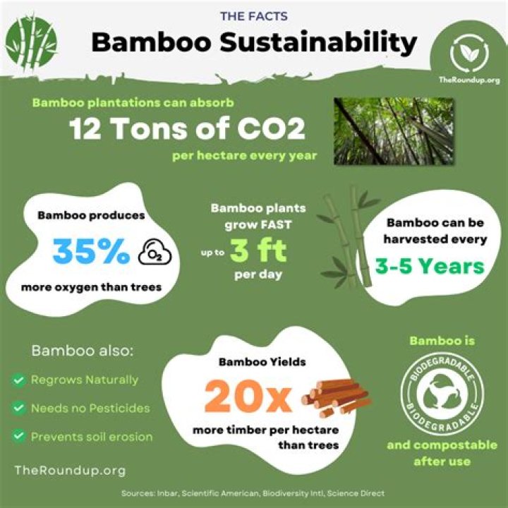 Is bamboo an antiviral material?