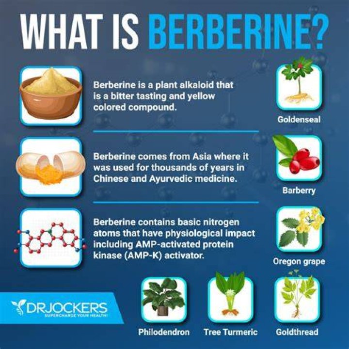 Is berberine a DHT blocker?