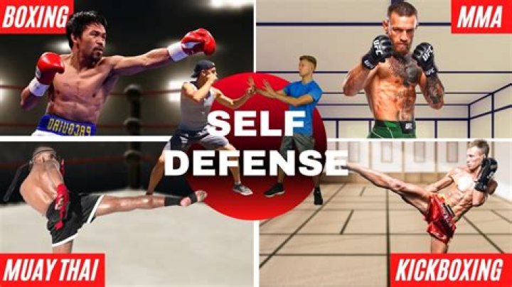 Is BJJ or self-defense better for boxing?