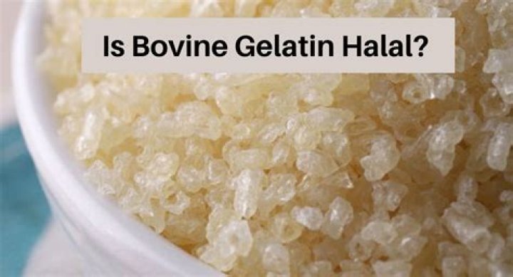 Is bovine gelatin BSE free halal?