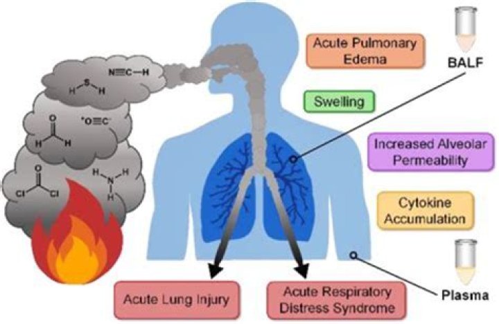 Is breathing human urine fumes harmful?