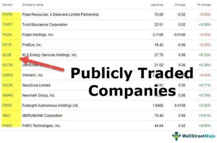 Is Chewy com a publicly traded company?