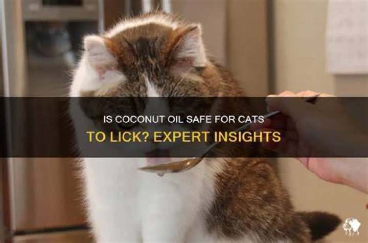Is coconut oil safe for cats licking?