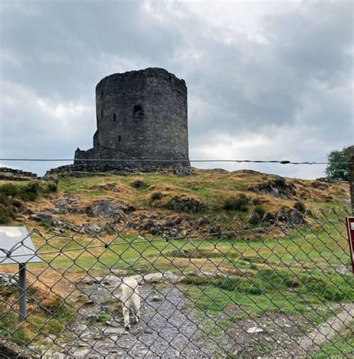 Is Conwy Castle dog friendly?