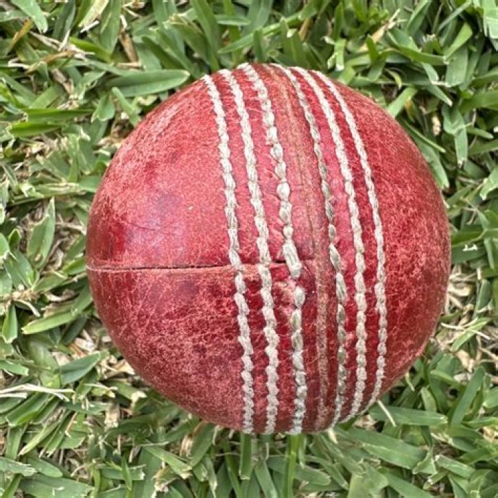 Is cricket ball made of wood?