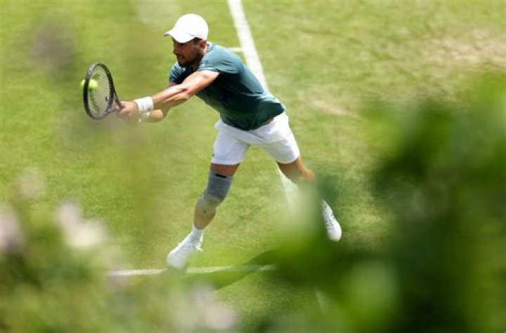 Is Djokovic better on grass?