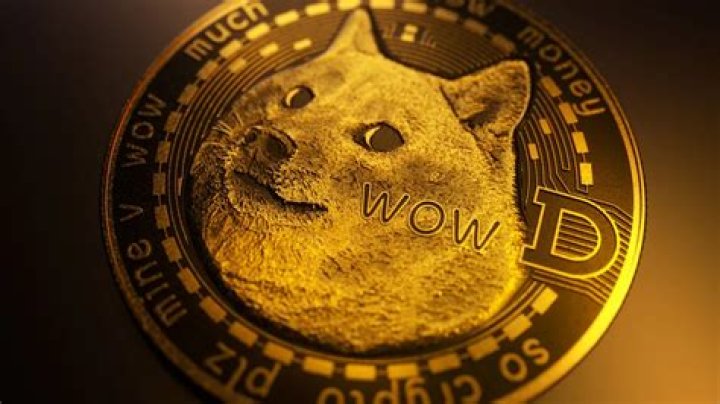 Is Dogecoin going to get big?