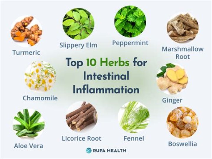Is fennel tea anti-inflammatory?
