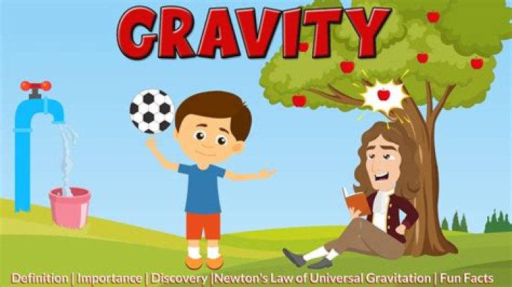 Is gravity a fact?