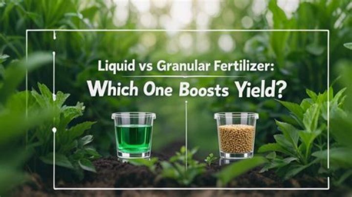 Is it better to use granular or liquid fertilizer?