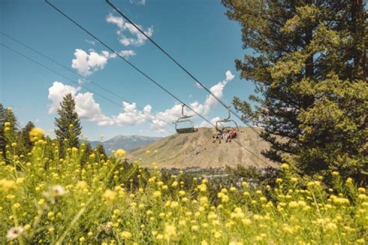 Is Jackson Hole Too difficult?